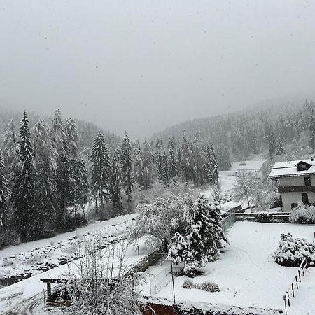 Dolomia Apartments & Spa Димаро Экстерьер фото